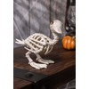 Crazy Bonez Skeleton Baby Duck