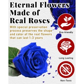 Changshunqi Preserved Flowers, Preserved Real Roses in Box Forever Flowers for Delivery, Eternal Rose Flower Last 2-3 Years, Anniversary Roses Forever Birthday Gifts for Women Mothers, Wife, Her, Mom