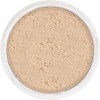 Kryolan Professional Make-up Anti Shine Powder, Natural - Medium tot