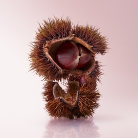 O'sulloc [오설록]마롱 글라세 블랙티 20입 (원산지:상세설명참조) [O'sulloc] Marron Glacé Black Tea 20 Bags (Origin: Refer to Detailed Description)