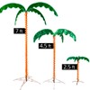 Deluxe Tropical LED Rope Light Palm Tree with Lighted Holographic
