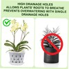 SUPVOX 5sets Clear Nursery Pots with Drainage Holes Transparent for