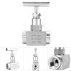 Straight Needle Valve, Replacement Control Needle Valve, BSPP Female Thread