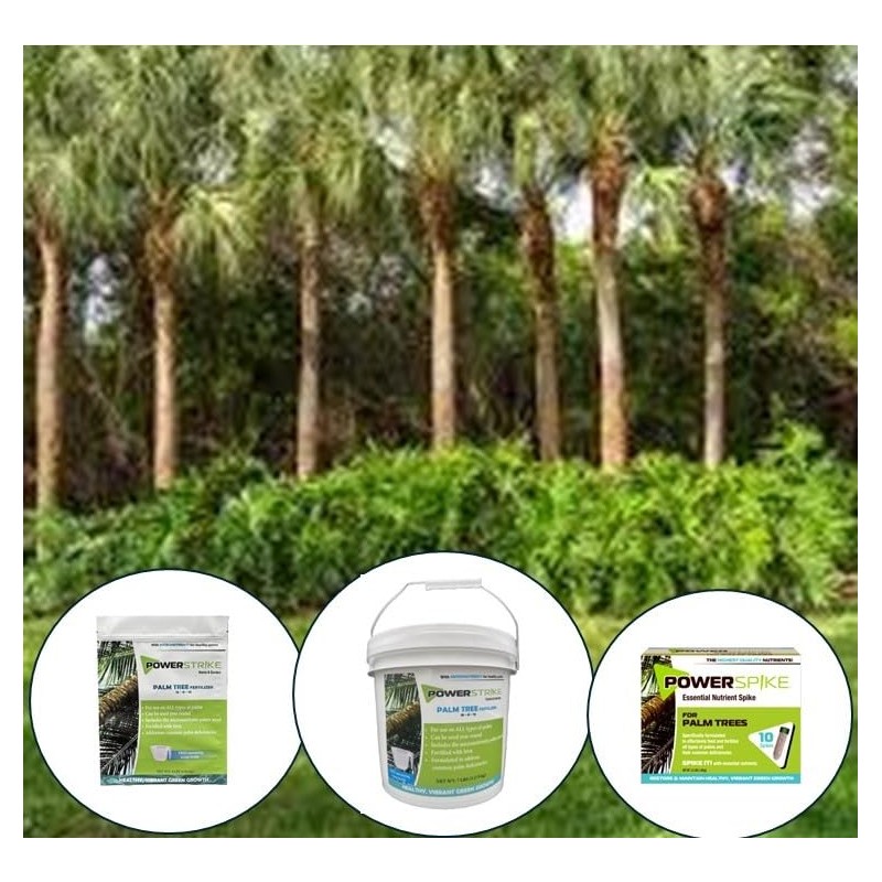 Power Spike for Palm Trees, Palm Tree Fertilizer Spike. Essential