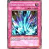 Yu-Gi-Oh! - Torrential Tribute (SD2-EN025) - Structure Deck 2: Zombie Madness - 1st Edition - Common