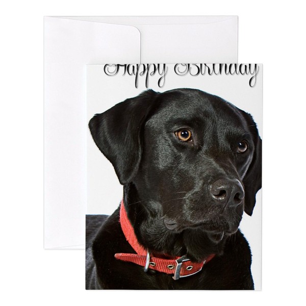 CafePress Black Lab Birthday Notecards (Set Of 10) 4.25" x