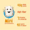 Kellogg’s Frosted Mini-Wheats Breakfast Cereal, High Fiber, 48g Whole Grain,