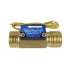 DIGITEN FS-C01 G1/2" BSP Male Thread Brass Water Flow Switch