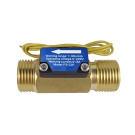 DIGITEN FS-C01 G1/2" BSP Male Thread Brass Water Flow Switch with Filter 1-30L/min, 0-2A/ 0-220V(AC or DC)