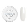 Neonail Powder Nail Art Glitter Metallic Effect 01