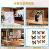 Sociplentycom Acrylic Photo Frame, Large Picture Frame, Picture Frame, Picture