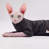 Ropa de gato sin pelo de terciopelo de cuatro patas,