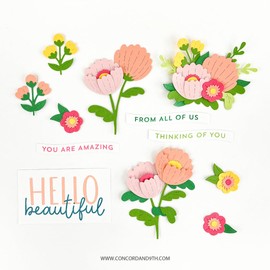 Concord & 9th Picked Posie Stamp Set- 8 Clear Stamps on 4"x6" Sheet of Friendly Phrases and Sentiments for Cardmaking-Thinking of You Card-Get Well-Thank You Card-DIY Papercrafting