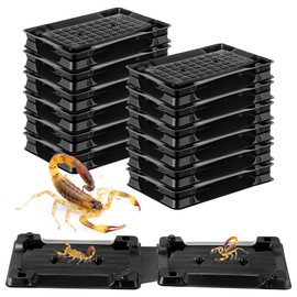 Qualirey 12 Scorpion Glue Tray Traps, Adhesive Scorpion Killer Indoor, Pet and Children Safe, Scorpion Repellent, Insect Traps Indoor, Sticky Bug Catcher for Basement, Bathrooms and Garage