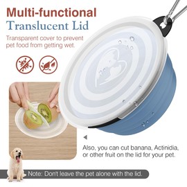 Pawaboo Collapsible Dog Bowls 2 Pack, Silicone Feeding Watering Bowls with Lids & Carabiners for Dogs Cats, Portable Water Feeder Food Bowl for Walking Traveling Home Use, 1000ml, Light Pink + Blue