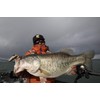 Berkley Power Wiggler 3.5" Bass PBCPWIG3.5-BAS Black Bass Kimken Design