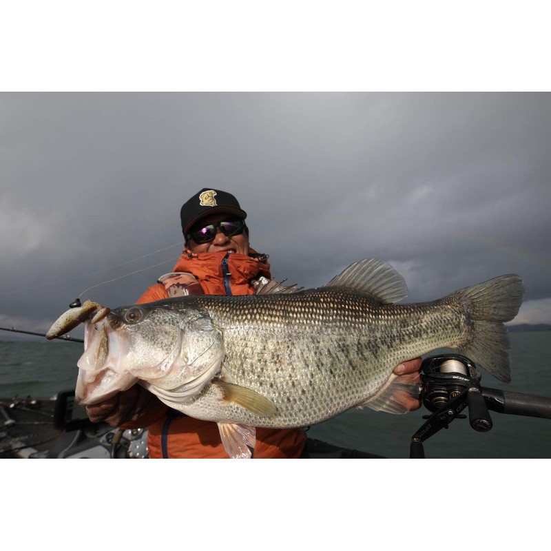 Berkley Power Wiggler 3.5" Bass PBCPWIG3.5-BAS Black Bass Kimken Design