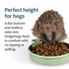 Jacobi Jayne Ceramic Hedgehog Food and Water Bowl Hedgehog Dish