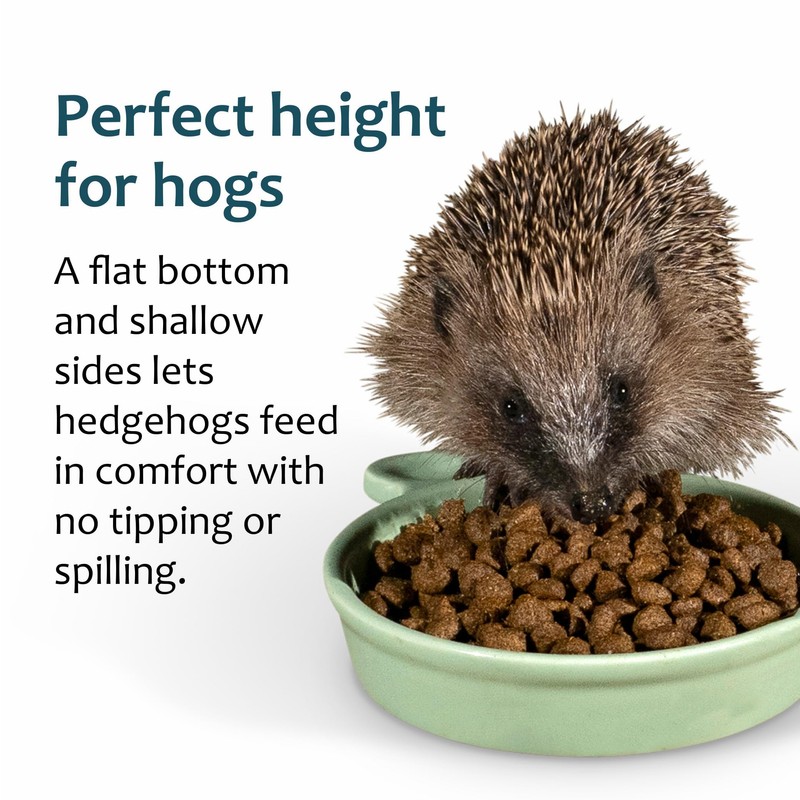 Jacobi Jayne Ceramic Hedgehog Food and Water Bowl Hedgehog Dish