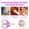 BeautyHunt Cat Nail Clippers Pet Claw Trimmers Scissors for Kittens,
