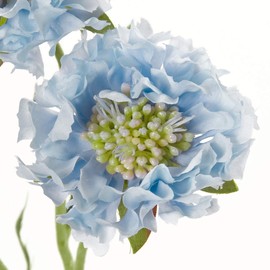 Tokyodo FM009378-005 Artificial Flowers MAGIQ Fringe Scaviosa, Blue, Flower Diameter 2.4-2.8 x L11.0 inches (6-7 x 28 cm)