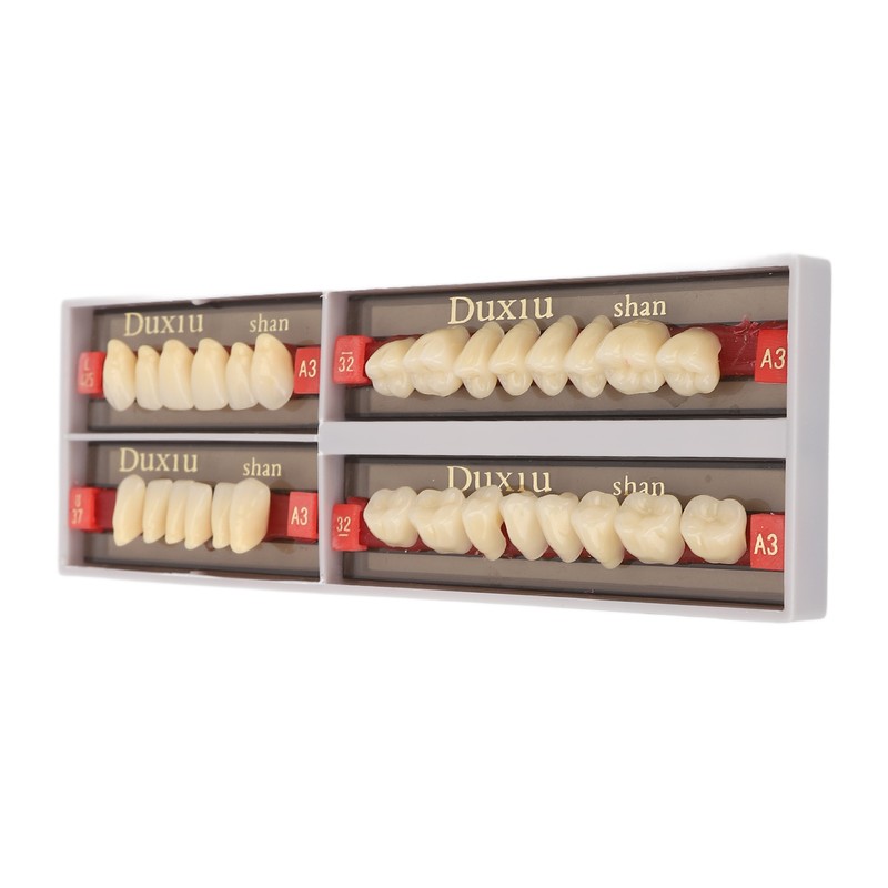 Dental Synthetic Resin Denture Tooth Professional Men Women Shade A3
