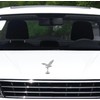 3D Eagle Hood Ornament Car Hood Ornament for Universal Vehicle