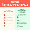 Money Tree Fertilizer for Money Trees and All Pachira Plants,