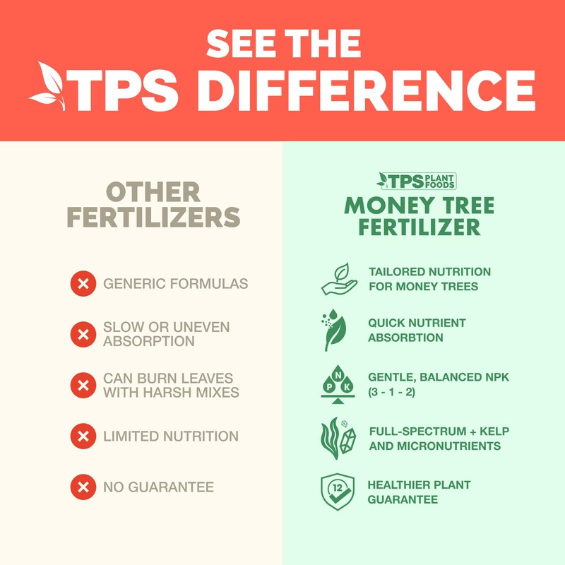 Money Tree Fertilizer for Money Trees and All Pachira Plants,