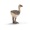 Schleich Wild Life 14398 Ostrich Cub