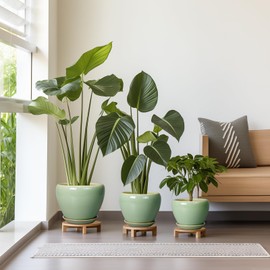 EPFamily Ceramic Pots for Plants - 10/8/6 Inch Flowers Planters with Drainage Holes and Saucers for Indoor Outdoor, Decorative Modern Home House Office Room Decor, Set of 3, Green