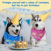 Pack of 2 Pet Triangular Scarf, Birthday Printed Triangular Scarf,