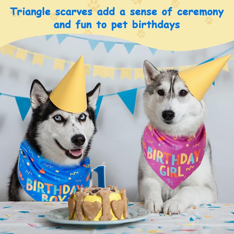 Pack of 2 Pet Triangular Scarf, Birthday Printed Triangular Scarf,