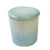 Mini 2 Size Urn (Yawaragi, Luster Blue)