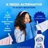 Lysol Disinfectant Laundry Sanitizer & Scent Booster, Laundry Detergent Additive,