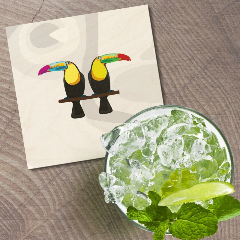 Unbranded Toucans Animal 4'' X 4'' Square Wooden Coaster