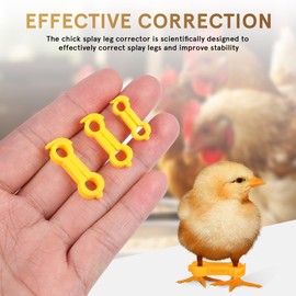 12 Stück Spreizbeine Küken 4mm Küken Beinspange für Gespreizte Beine Von Vögeln Spreizbeine Hobble-Beinbänder Kanarienvögel Kleinere Wellensittiche