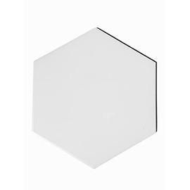 8.75x10 Solid Color Hexagon Collection White Porcelain Wall Floor Tile (1)
