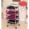 Dream Premium 60 Spool Glitter Braiding Hair Rack (Glitter Pink)
