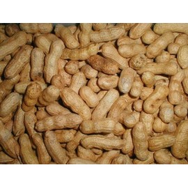 Peanuts (in-The-Shell) Bird Feed - 10 lb- (2-5lb. pkg.)