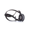 INA 530 0149 10 Timing Belt Set