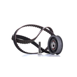 INA 530 0149 10 Timing Belt Set