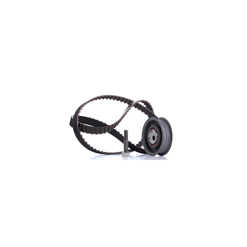 INA 530 0149 10 Timing Belt Set