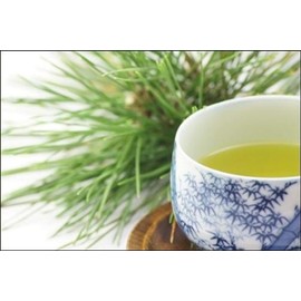 Organic Seasonal Pine Needle Tea (1 Box (25Tea Bag))