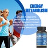 NMN 250mg + Resveratrol – Cellular Repair & Longevity Support