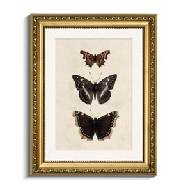 VIYYIEA Vintage Gold Framed Butterfly Wall Art, Bedroom Bathroom Shelf Retro Butterfly Illustration Room Decor, Canvas Prints, Antique Picture Frame Paintings Home Farmhouse Wall Decor, 11x14 Inch
