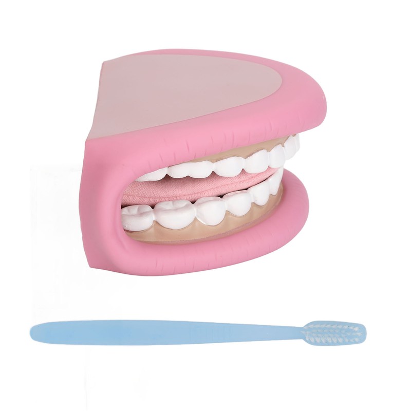 Kids Mouth Hand Puppet 28 Teeth Tongue Mouth Puppet with