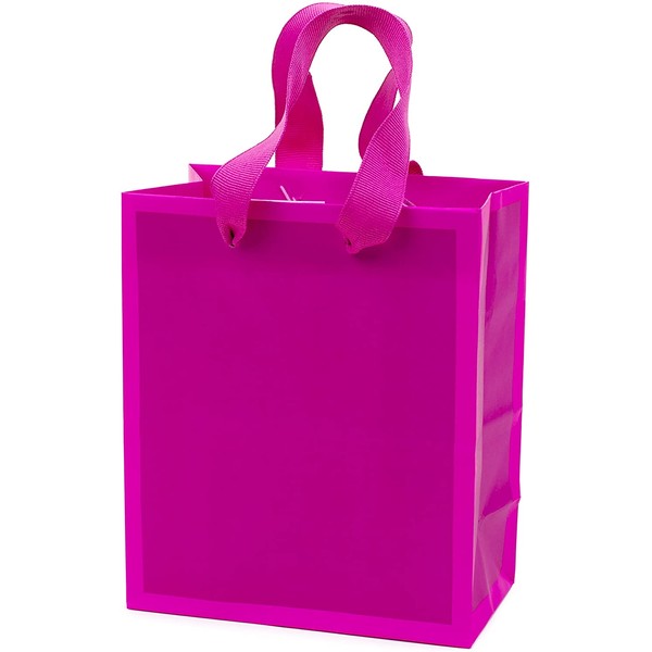 Hallmark 6" Small Gift Bag (Hot Pink) for Birthdays, Bridal Showers, Baby Showers, Easter, Mothers Day or Any Occasion