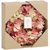 SG Wonder Zone 660-032 Wreath, 9.4 inches (24 cm), Pastel