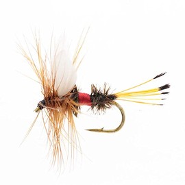 River Peak Royal Coachman Dry Fly Finished Hair Bristles Set of 5 (#14)